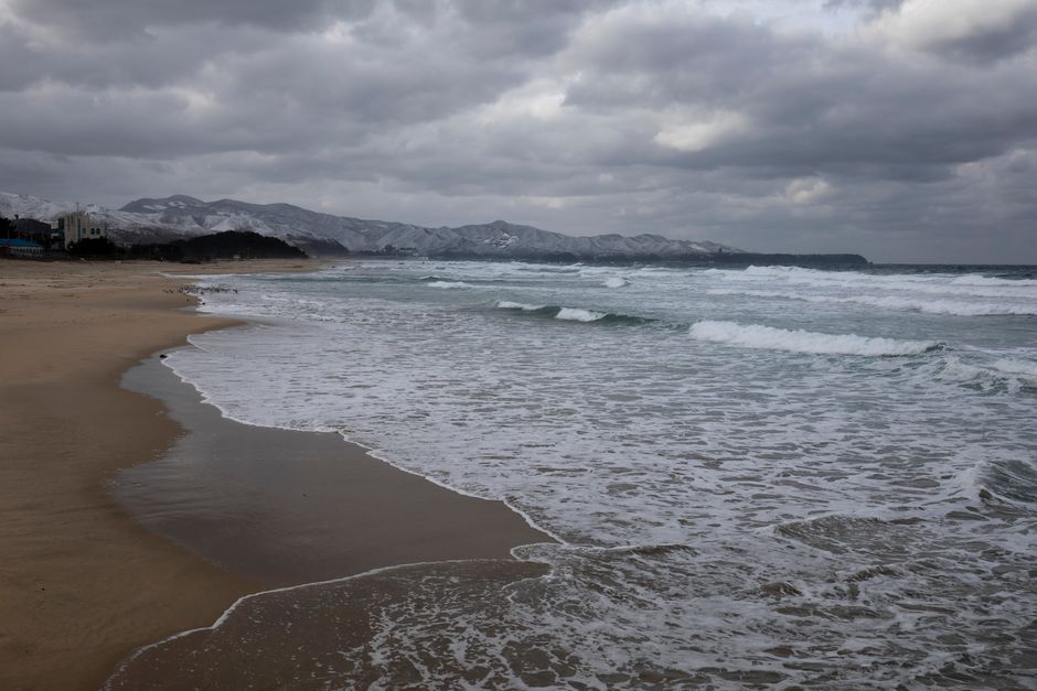 The Quiet Joy of Beachcombing in Winter